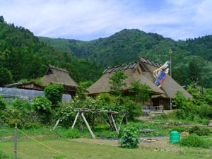 Miyama-cho is in the mountains near Kyoto.  The village contains one of the largest collection of traditional thatched cottages in Japan.